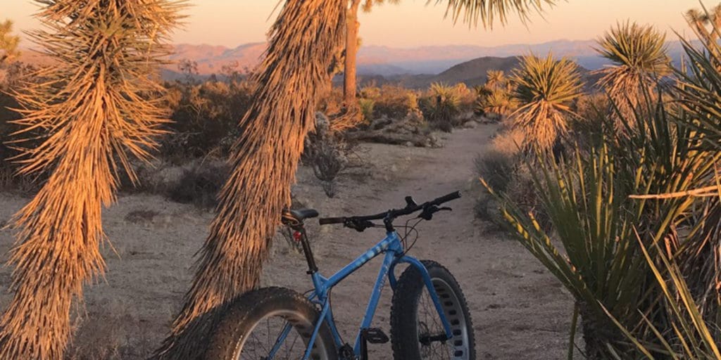 biking in joshua tree